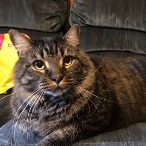 Meet your Posher, Mary